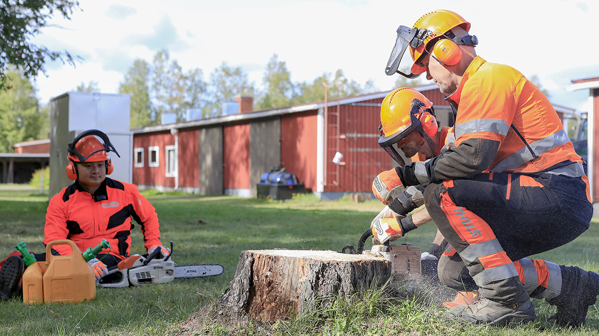 Metsäalan perustutkinto, metsuri-metsäpalvelujen tuottaja