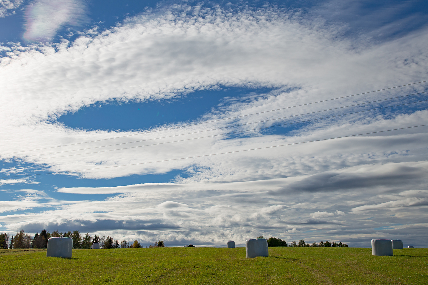 Kesäinen sinivalkoinen taivas ja vihreällä pellolla valkoisia pyöröpaalia.