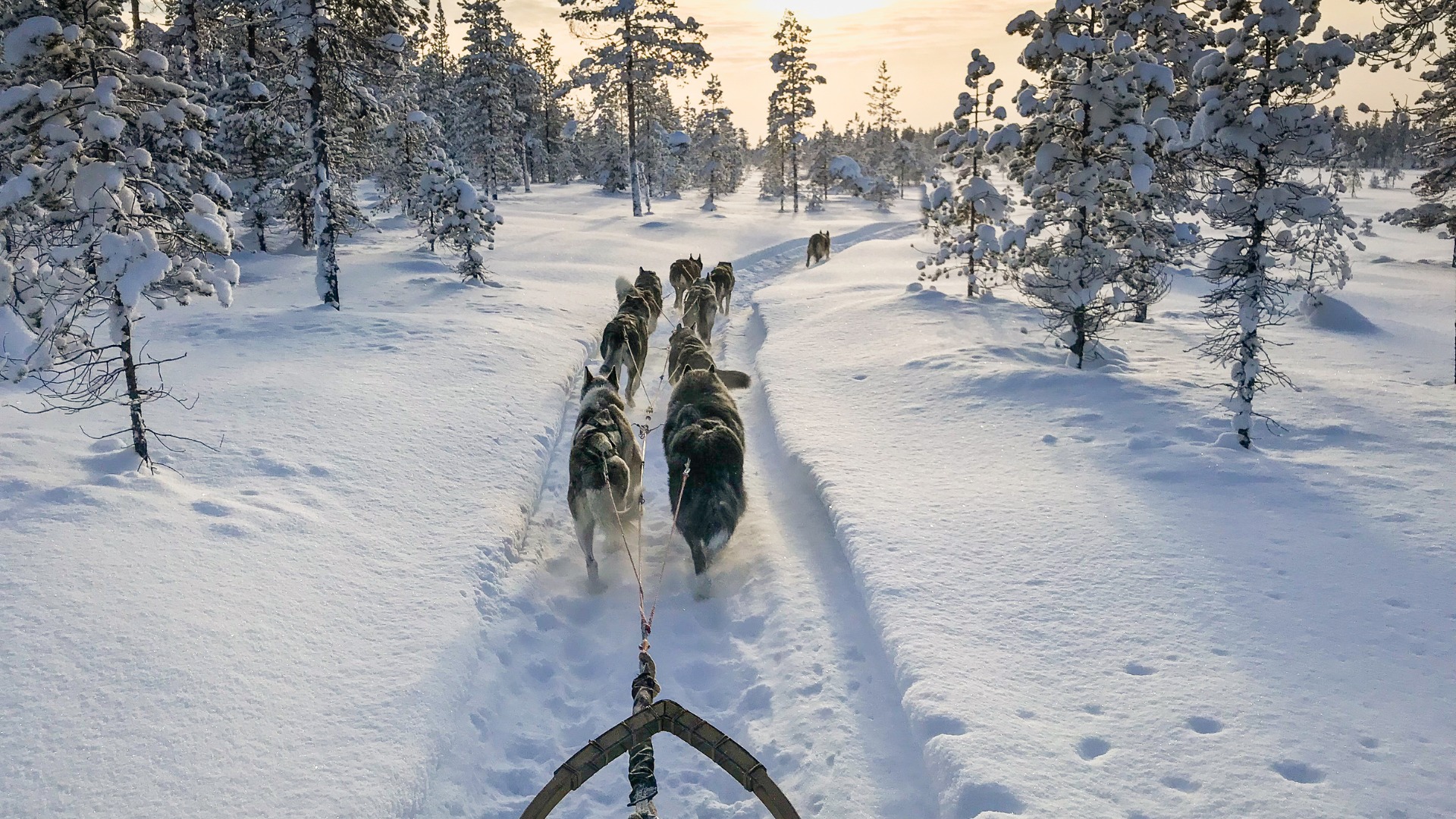 Urapolku matkailualalle (710541)