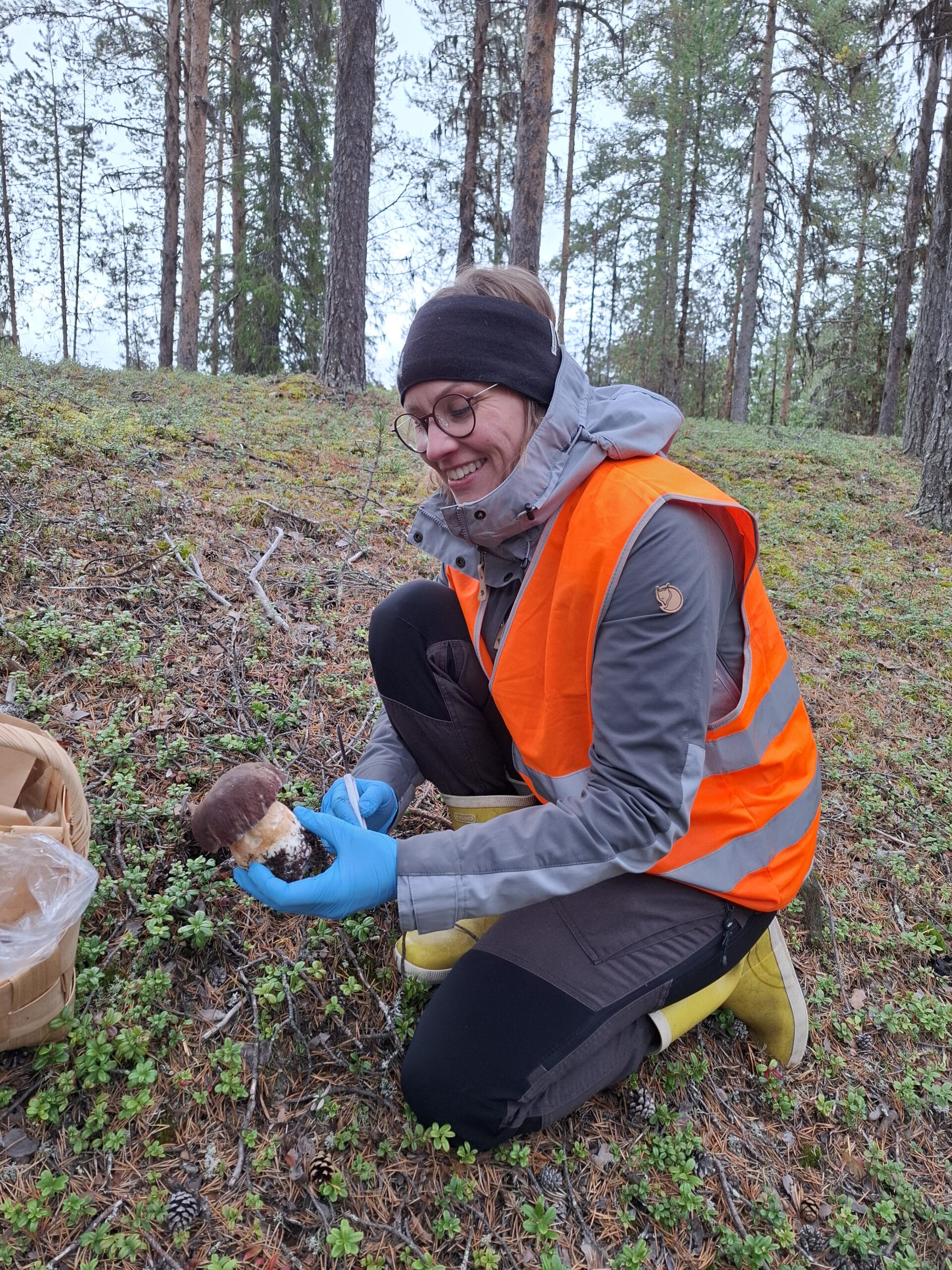 Luontoalan ammattitutkinto Muoniossa, Luonnontuotealan osaamisala