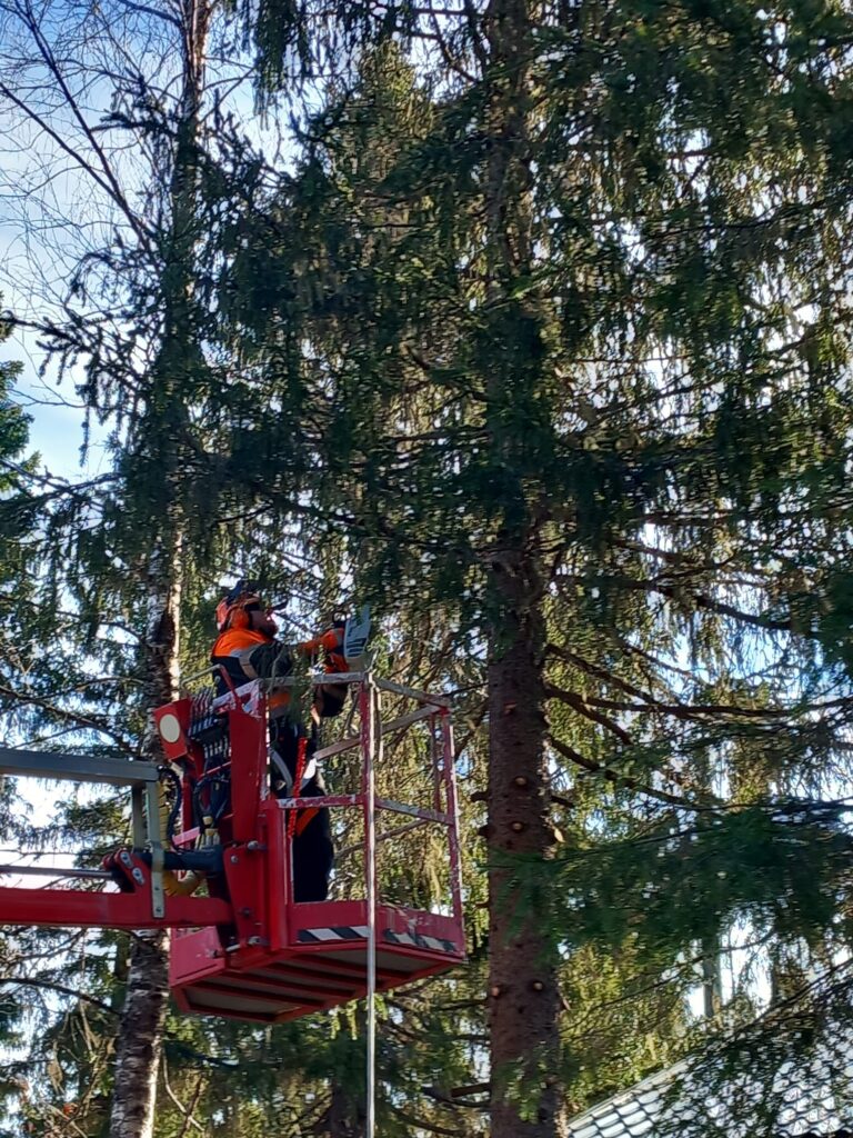Metsäalan opettaja Nico Lahtela metsäalan työtehtävissä