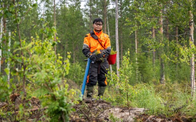 Kuvassa Lappian opiskelija tekemässä metsänistutustyötä