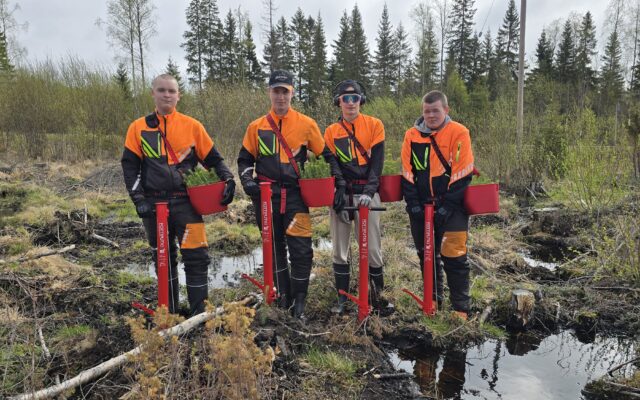 Kuvassa metsäalan opiskelijat taimien istutuksessa