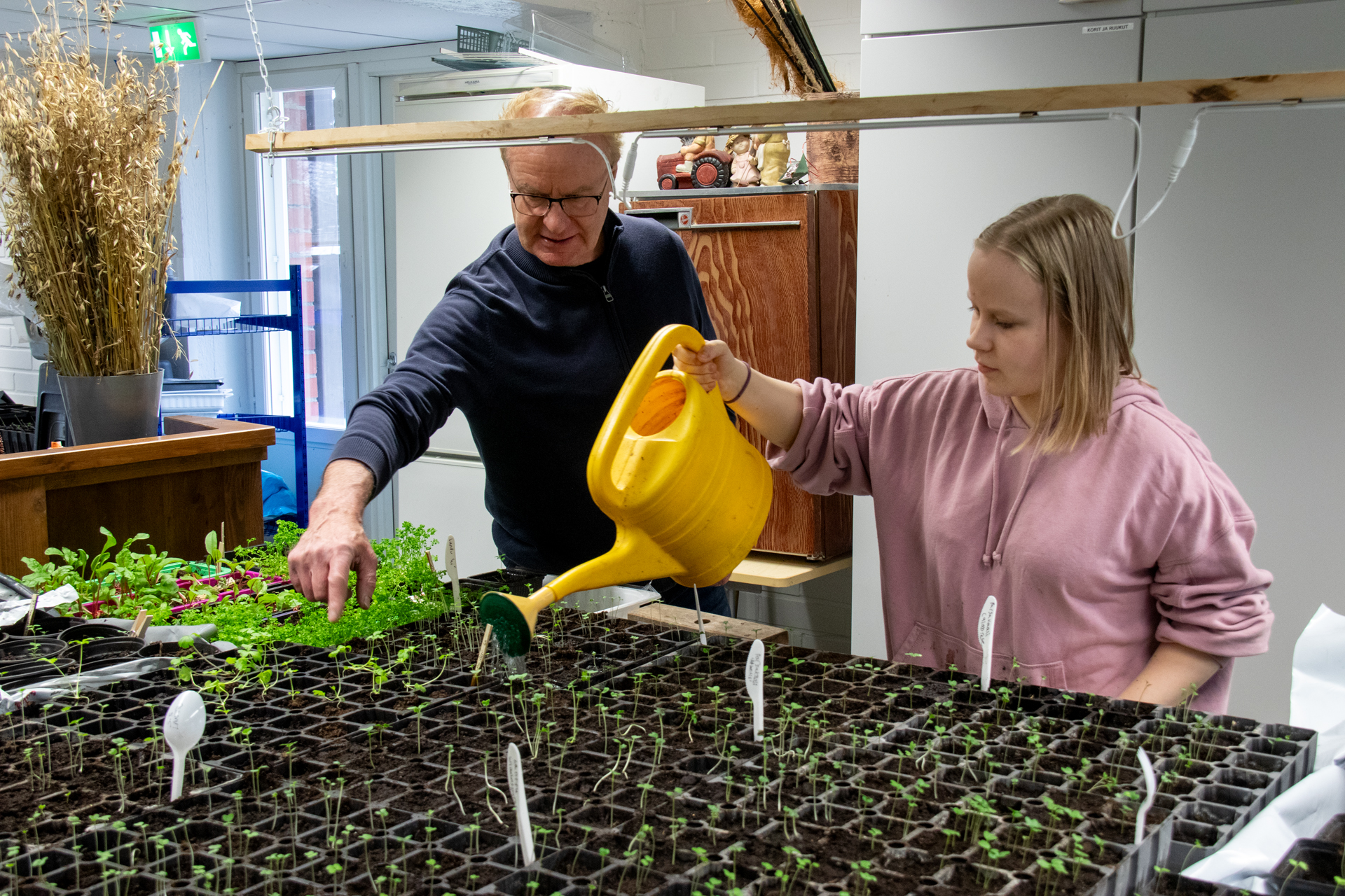 Opiskelija Anna Lammassaari kastelee taimia opettajansa Osmo Häkkisen ohjauksessa.
